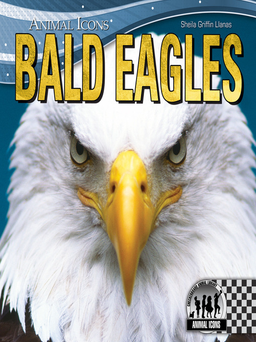 Cover image for Bald Eagles